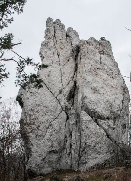 Droga Kołkówka, Dziewica, Góra Kołoczek, Podlesice (fot. Dariusz Porada)