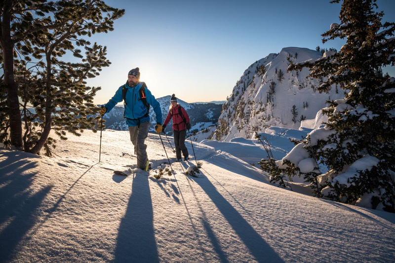 Jak wybrać kije na skitoury (fot. Andy Earl / blackdiamond.com)