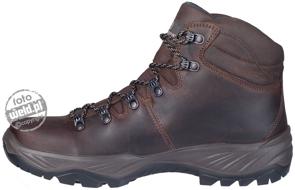 terra gtx wmn