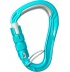 ICEMINT