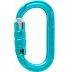 ICEMINT
